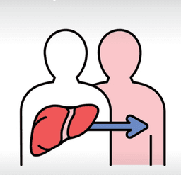 Post-Transplant Nutrition